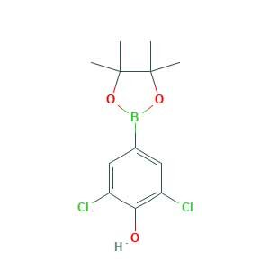 2,6-dichloro-4-(4,4,5,5-tetramethyl-1,3,2-dioxaborolan-2-yl)phenol