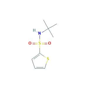 N-tert-butylthiophene-2-sulfonamide