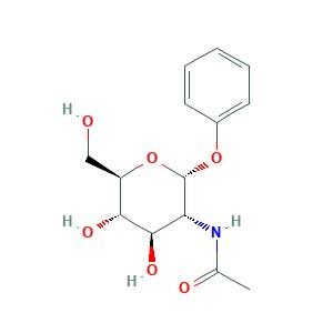 N-[(2R,3R,4R,5S,6R)-4,5-dihydroxy-6-(hydroxymethyl)-2-phenoxyoxan-3-yl]acetamide