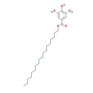 octadecyl 3,4,5-trihydroxybenzoate
