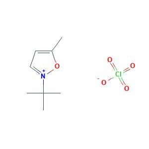2-tert-butyl-5-methyl-1,2-oxazol-2-ium;perchlorate