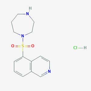 5-(1,4-diazepan-1-ylsulfonyl)isoquinoline;hydrochloride