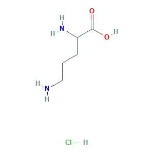 2,5-diaminopentanoic acid;hydrochloride