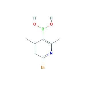 (6-bromo-2,4-dimethylpyridin-3-yl)boronic acid